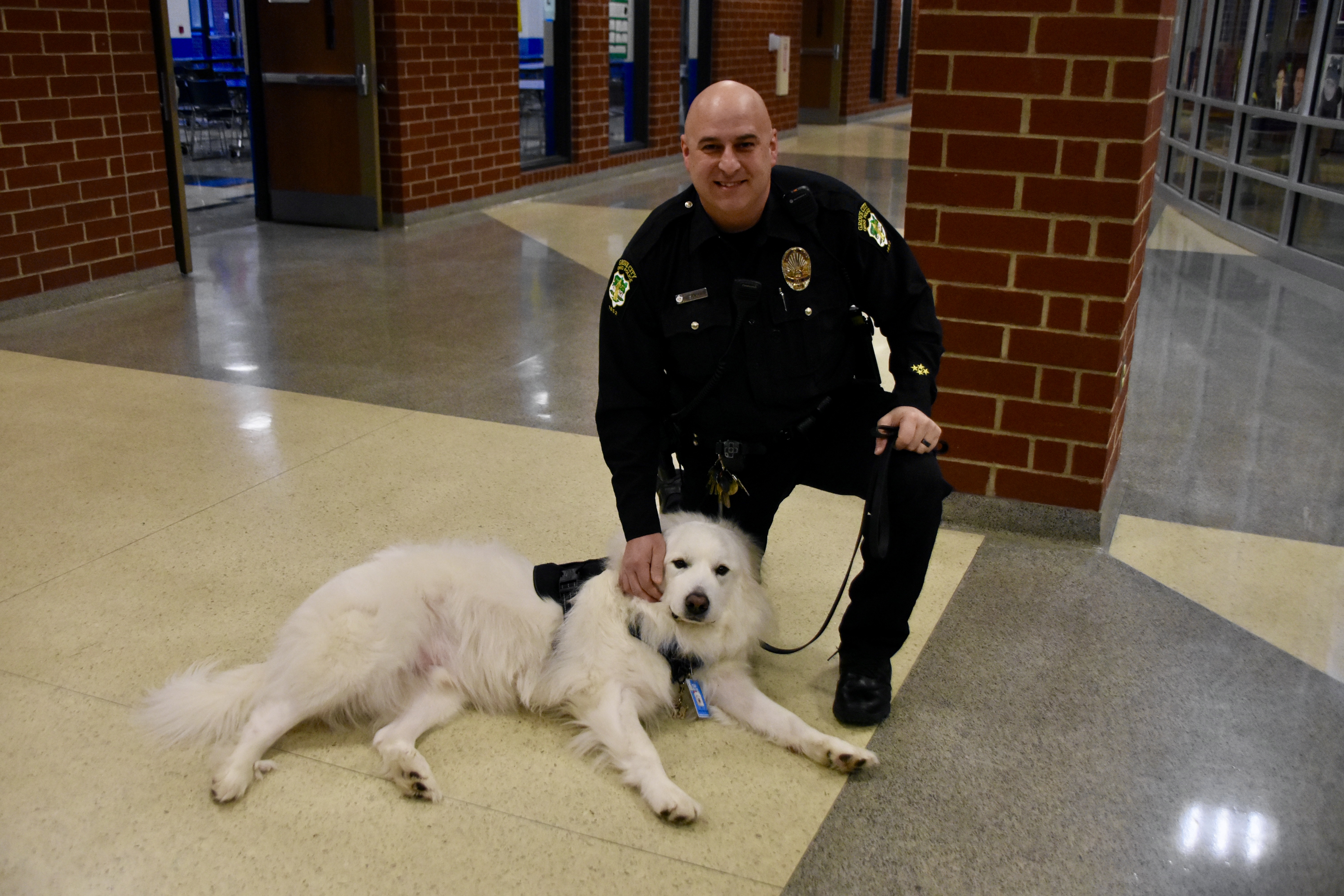 Say hello to Bo and Luna: Two new therapy dogs become staff members at ...